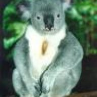 KoaLaa